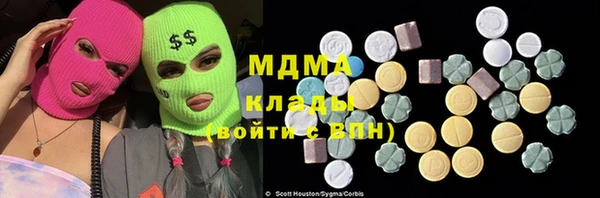 гидра Инта