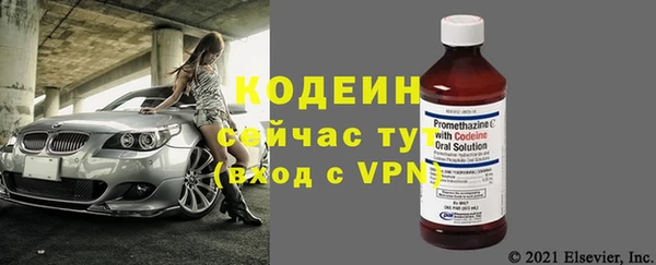 гидра Инта