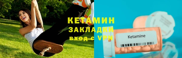 гидра Инта