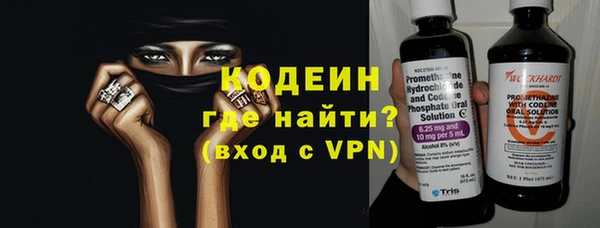 гидра Инта