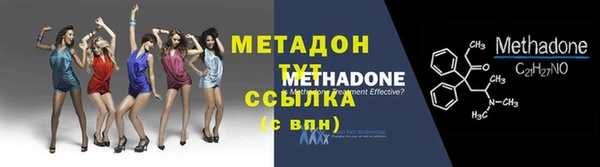 гидра Инта