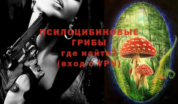 MDMA Premium VHQ Каменка