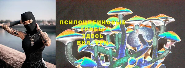 экстази Каменногорск