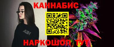 ГАЛЛЮЦИНОГЕННЫЕ ГРИБЫ Новозыбков