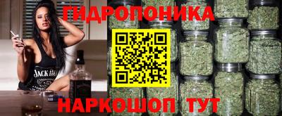 амфетамин Новодвинск