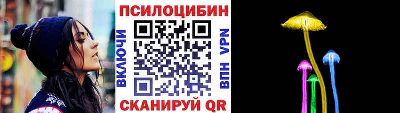 хочу наркоту  Заинск  Галлюциногенные грибы Magic Shrooms 