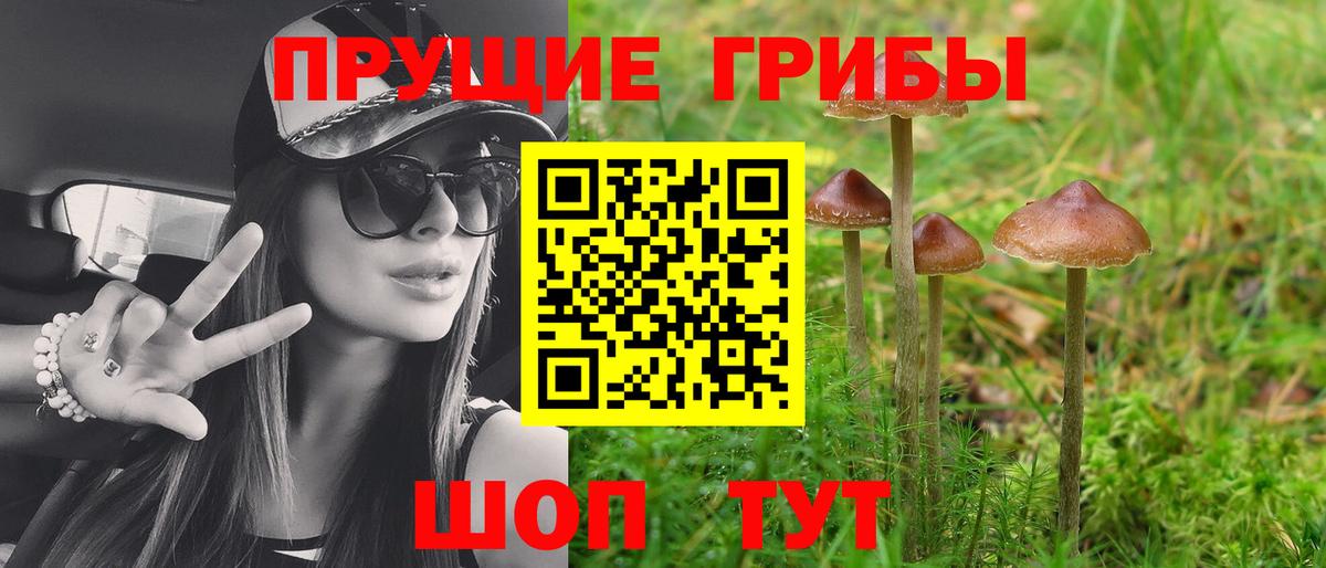 Заинск  Галлюциногенные грибы Psilocybine cubensis  Вход с VPN 