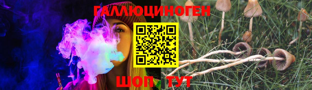 Псилоцибиновые грибы Cubensis Заинск